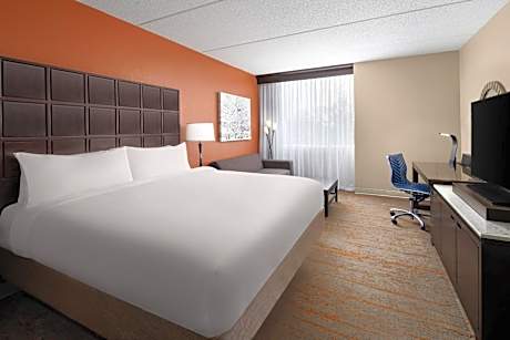 Guest room, 1 King, Sofa bed