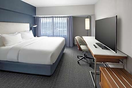 Large King Studio with Kitchen and Sofa Bed