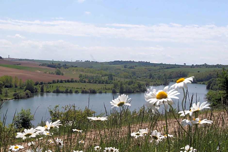Logis Hôtel - Auberge du Pastel - Hôtel 3 étoiles et Restaurant