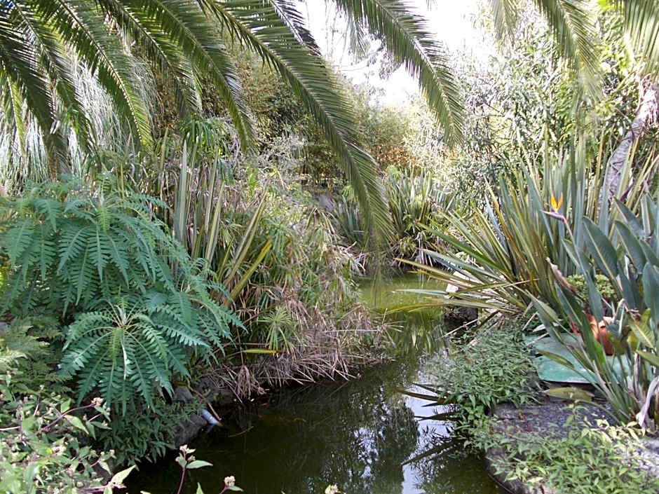 Hotel La Palma Romántica