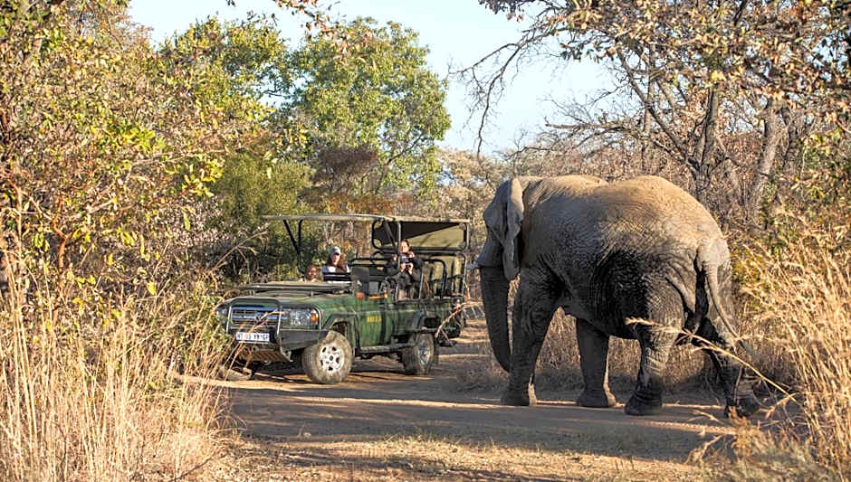 Mabula Game Lodge