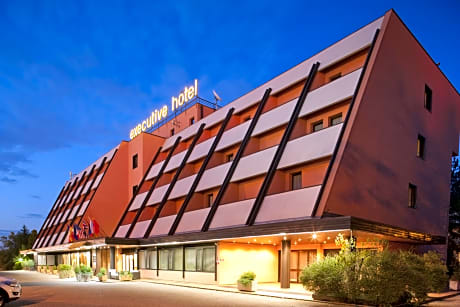 Hotel Executive