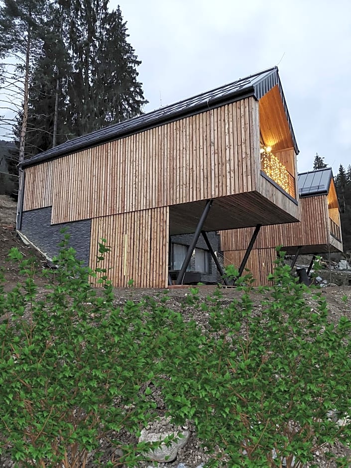 Wellness chalet Vénus