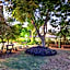 Degania Bet Kibbutz Country Lodging