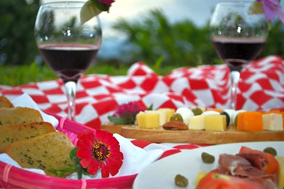 Finca Hamburgo La Ruta del Cafe