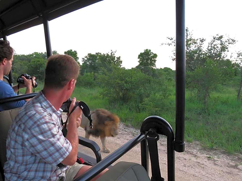 Honeyguide Tented Safari Camp - Khoka Moya