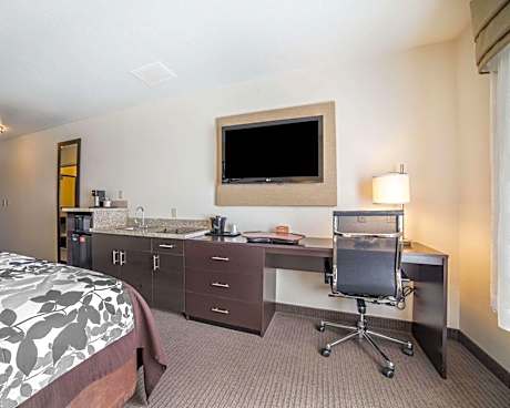Efficiency King Room - Non-Smoking