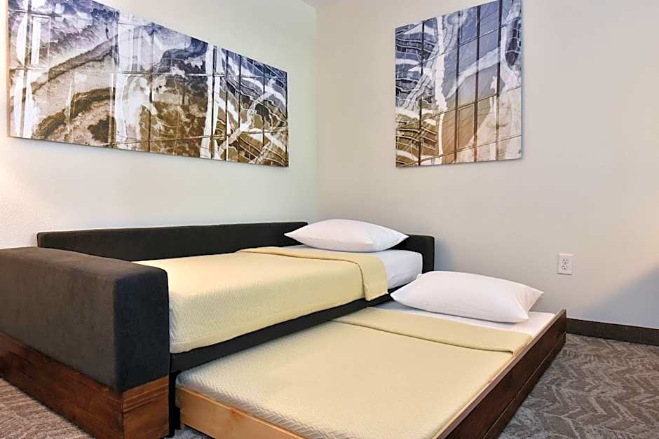 SpringHill Suites by Marriott Columbia Downtown/The Vista