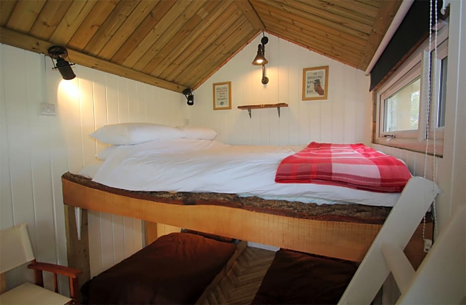 Dartmoor Reach Alpaca Farm