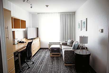 Suite, 1 Bedroom (1 Queen Bed and 1 Double Sofa Bed)