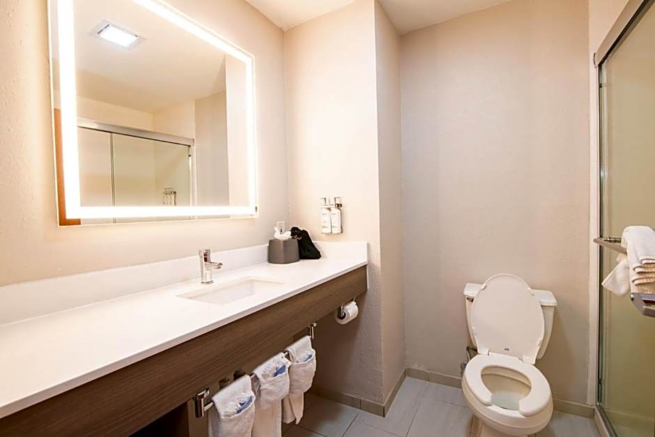 Holiday Inn Express & Suites College Station by IHG