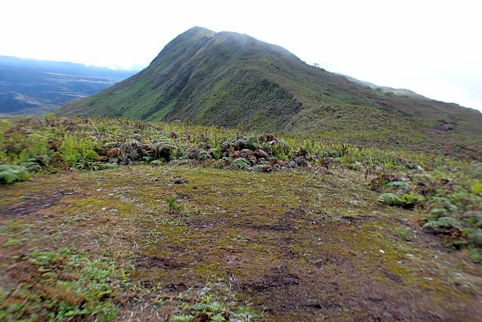 Isamar Hotel Galápagos