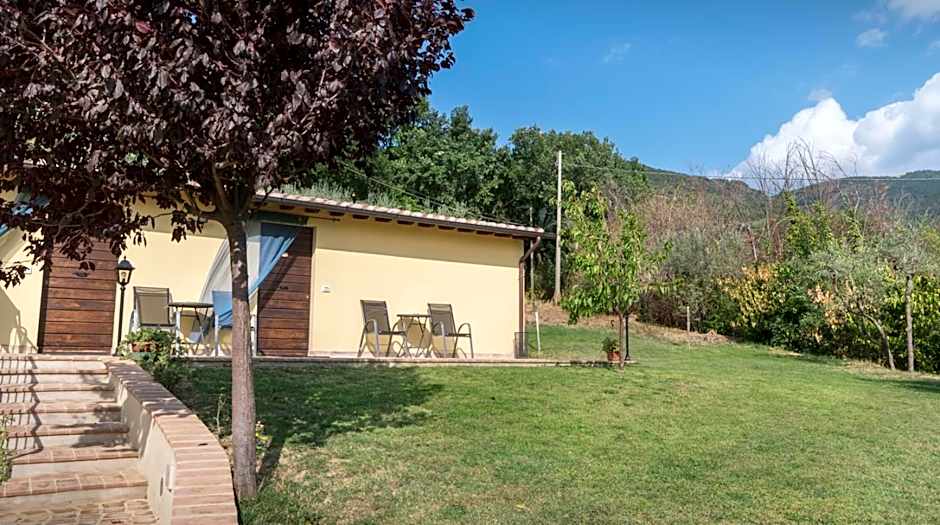 B&B Cantico Delle Creature