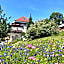Schwarzwald-Hotel Kraeutle