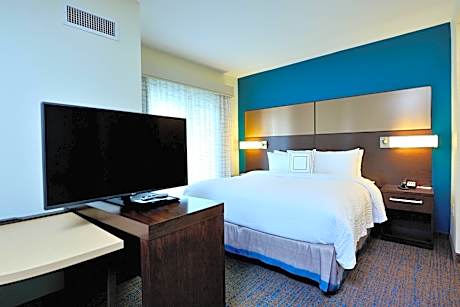 Studio, 1 King Bed with Sofa bed (1 King Bed and 1 Double Sofa Bed)