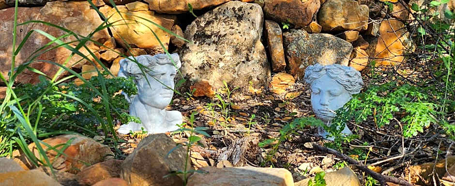 Las estrellas del duende