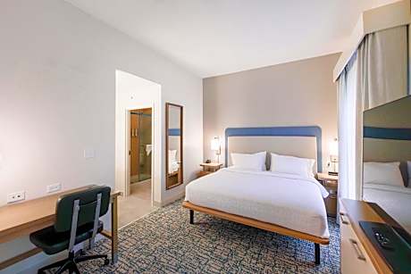 1 KING HEARING ACCESSIBLE STUDIO SUITE NOSMOK