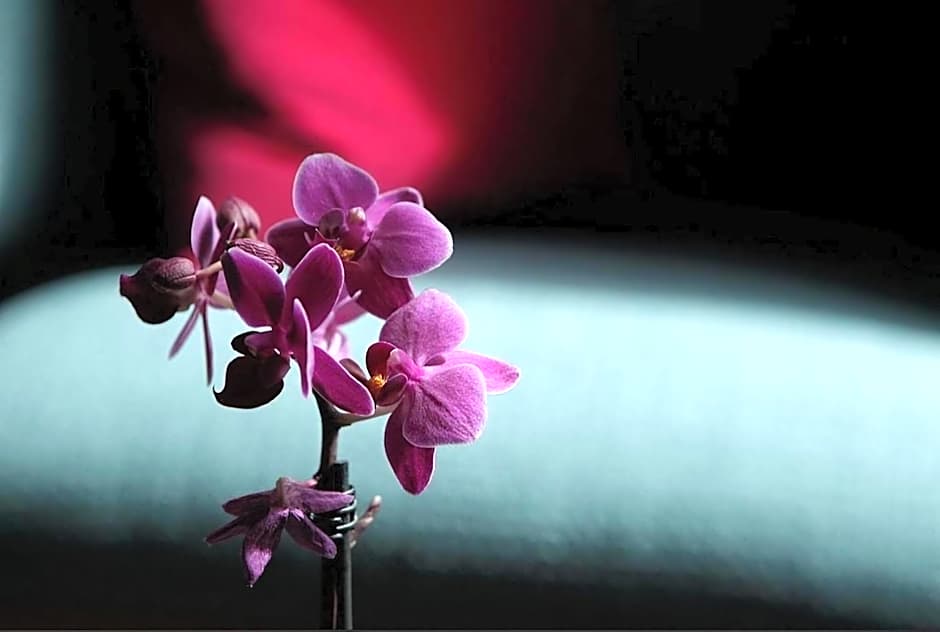 Signature Townhouse London Hyde Park