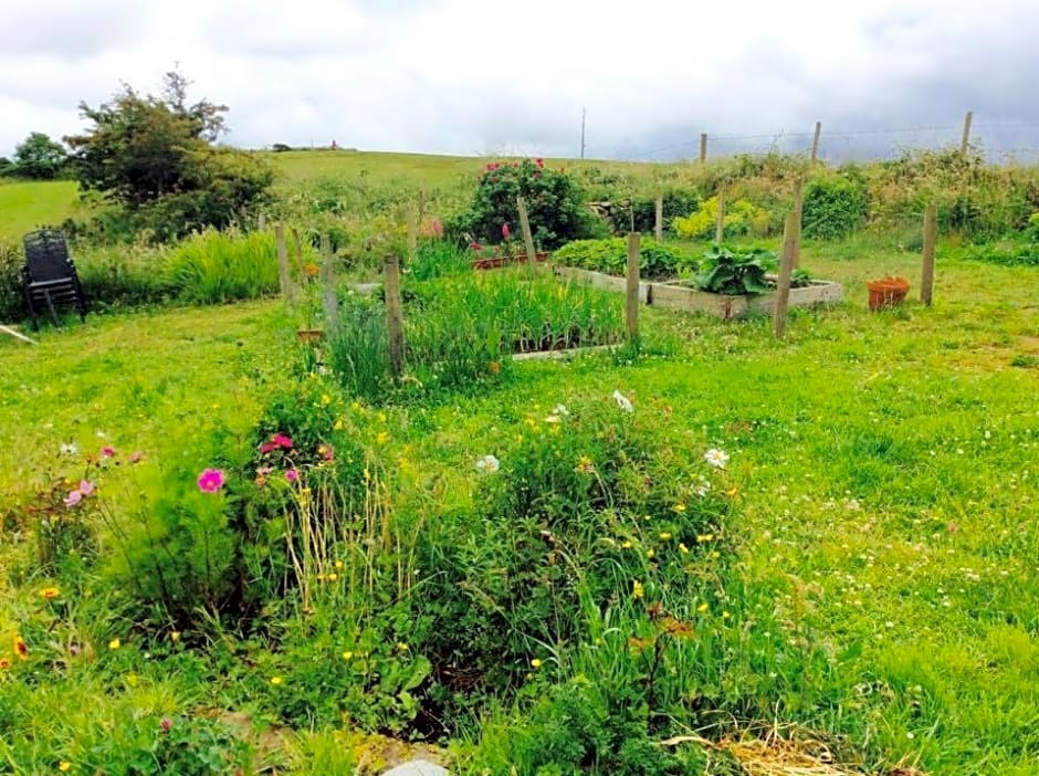 Holland House F94DP26