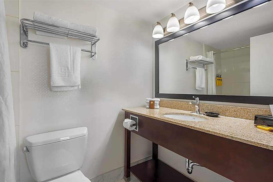 Best Western Plus Suites Downtown