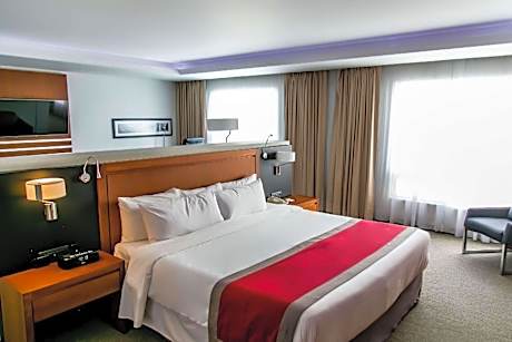 1 King Bed, Suite, Nonsmoking