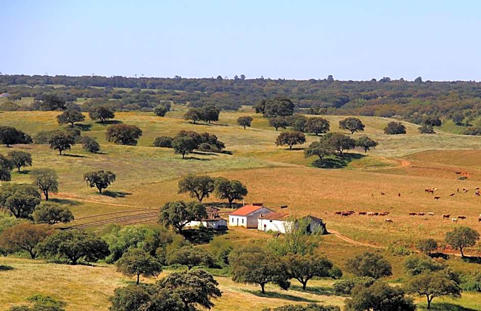 Hotel O Gato - Edificio Standard