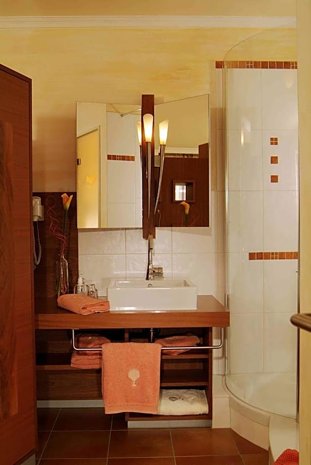 Flair Hotel Zum Schwarzen Reiter