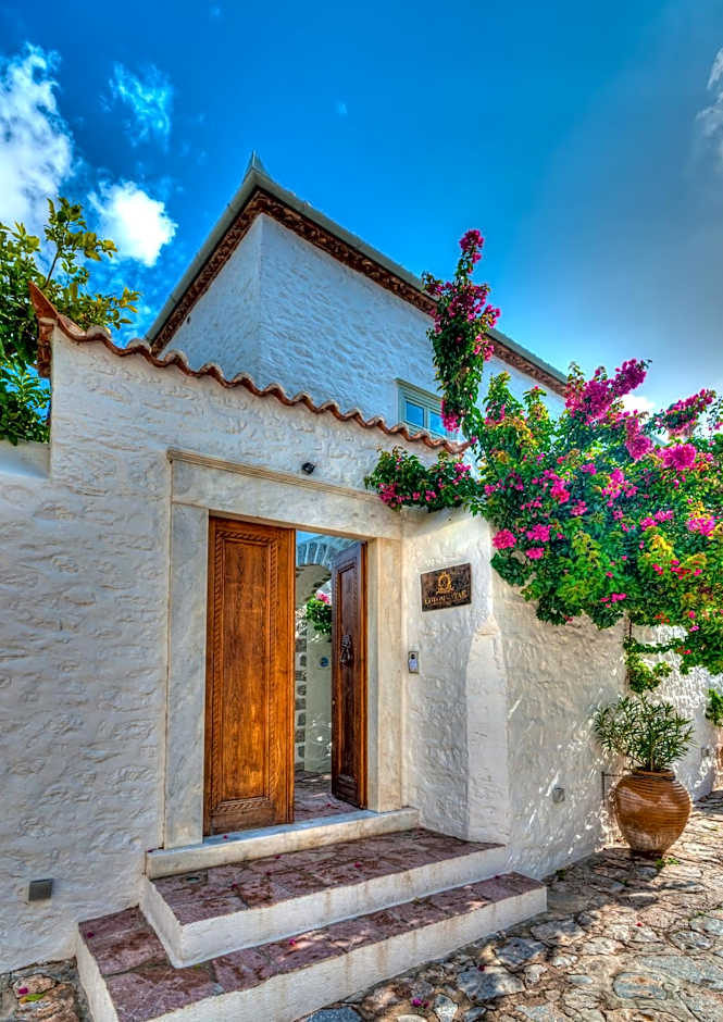 Cotommatae Hydra 1810