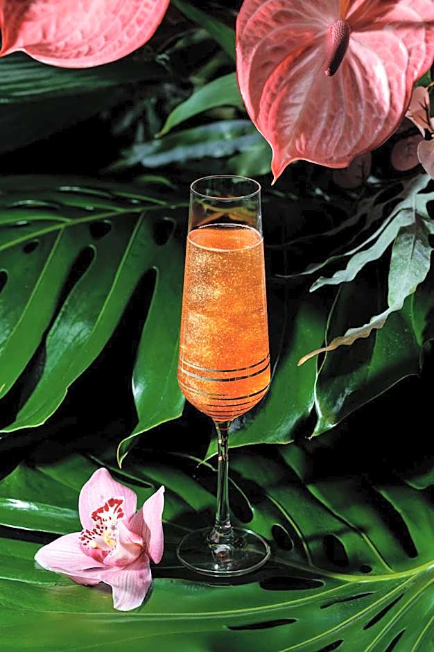 Aria Hotel Budapest by Library Hotel Collection