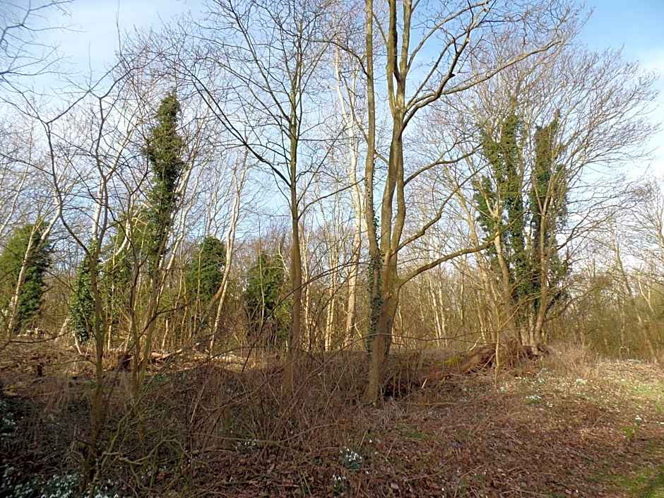 Bed & Breakfast Van Marion