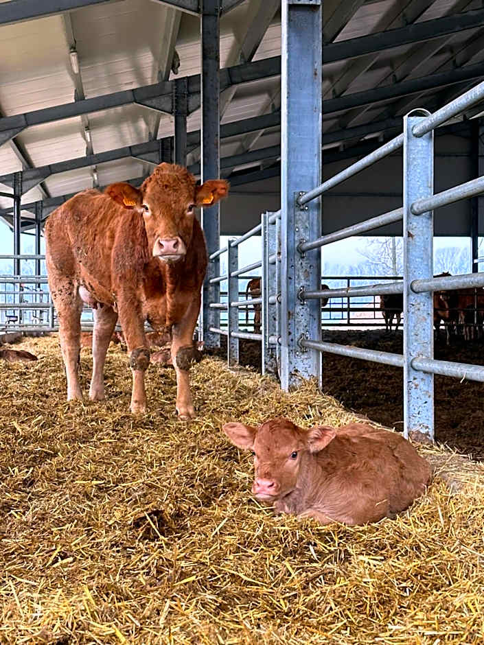 Agriturismo La Galizia