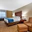 Comfort Inn Binghamton I-81