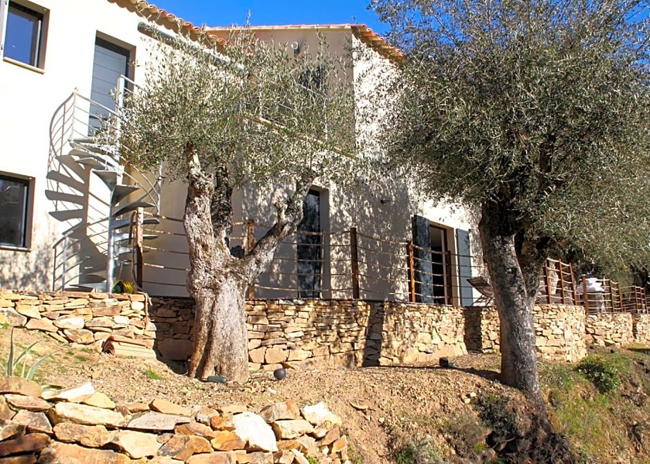 L'oliveraie du Fango