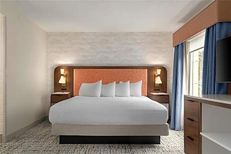 1 Dbl Mobility/hearing Access Tub Studio Ns Vis Firealrm/door/phn Alrt/sofabed Microwv/fridge/wetbar