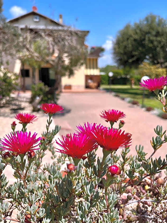 I Lecci Guesthouse