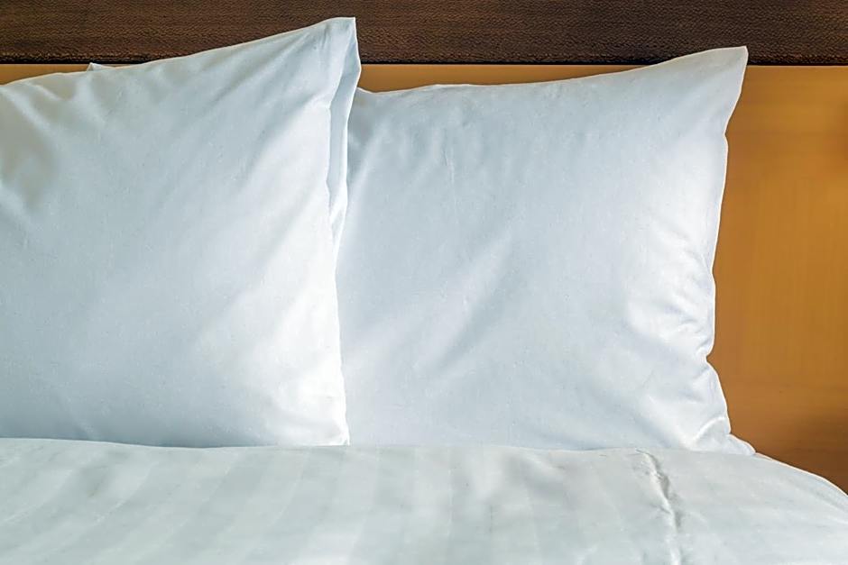 Holiday Inn & Suites Green Bay Stadium by IHG