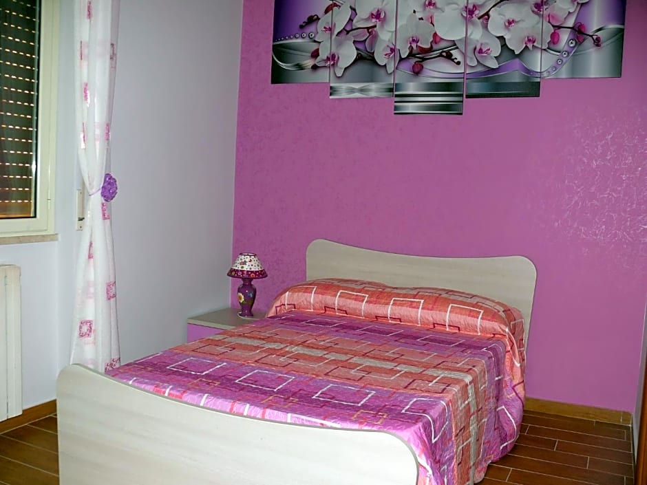B&B Max
