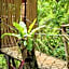 Treehouse de Valentine