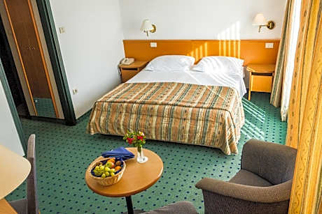 Standard Double or Twin Room with Balcony