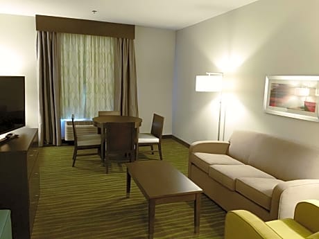 Accessible - Suite King Bed, Mobility Accessible, Bathtub, Sofabed, Non-Smoking, Full Breakfast