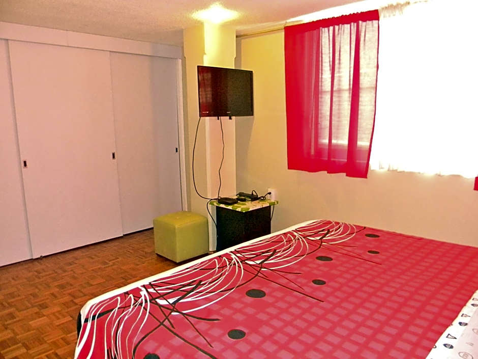 B&B México Roma Norte