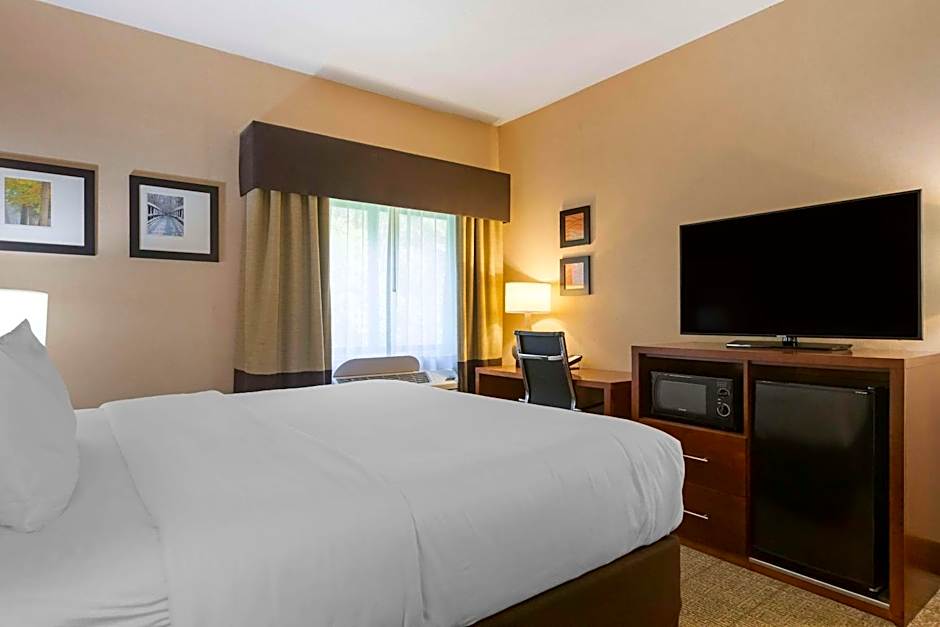 Comfort Inn & Suites Jackson North