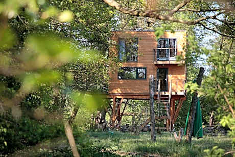 Domek na drzewie w Dolinie Uradu