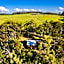 Spicers Peak Lodge