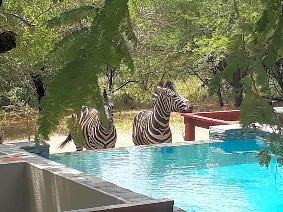 Turaco Lodge - No Loadshedding