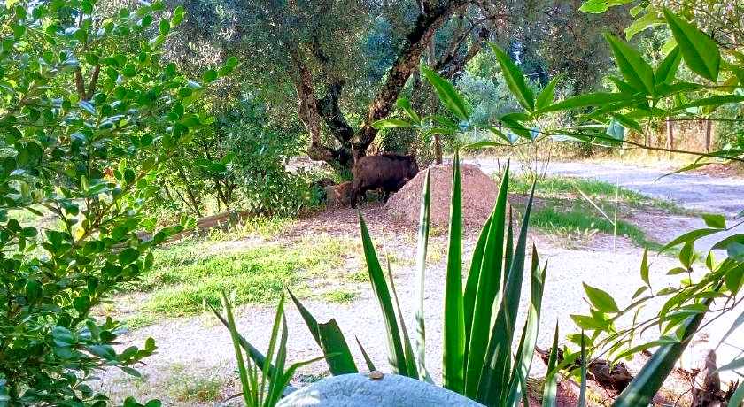 B&b Fabra Casa Mia e non solo