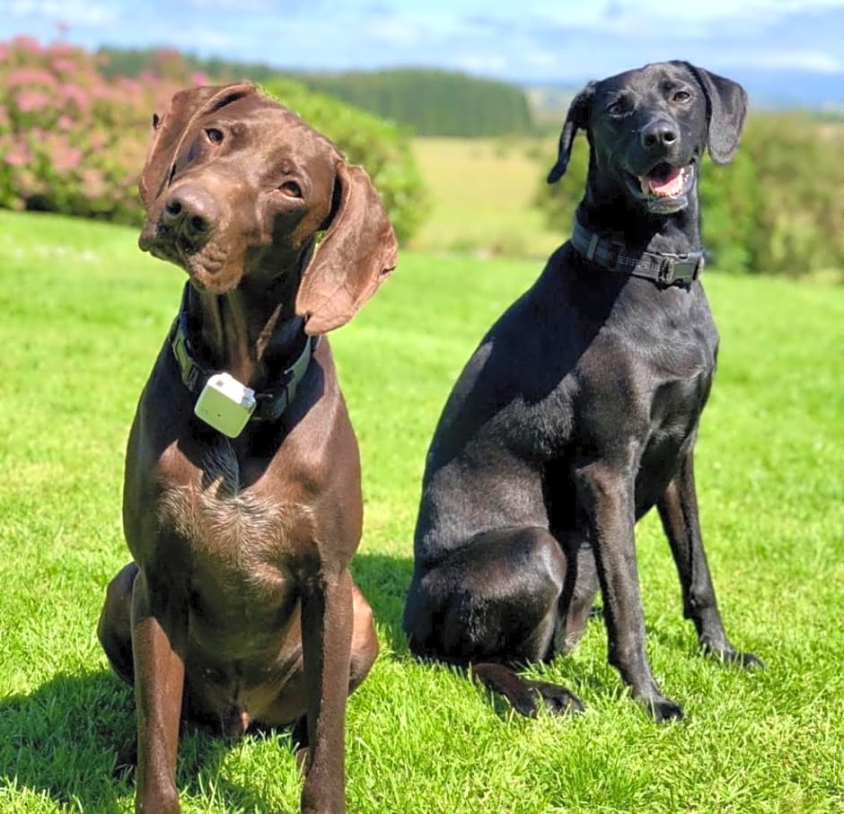 Trossachs Barn & Cabin - boutique B&B