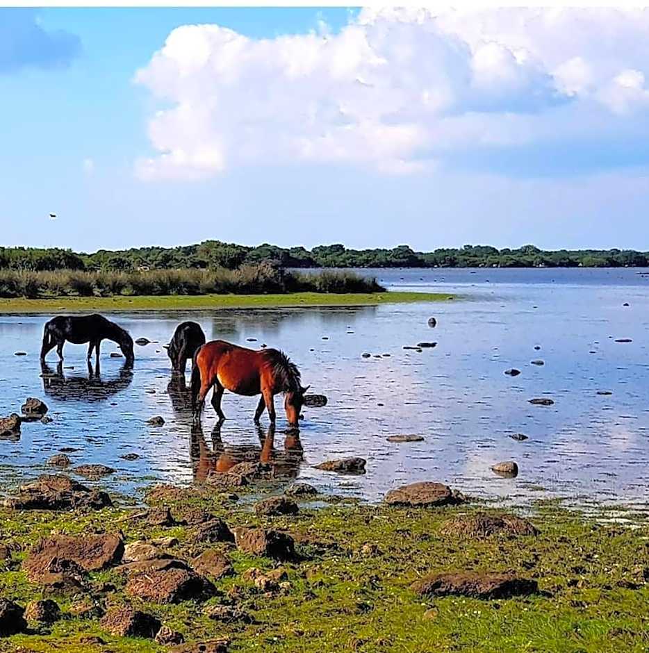 Casa Susanna Rural Sardinia