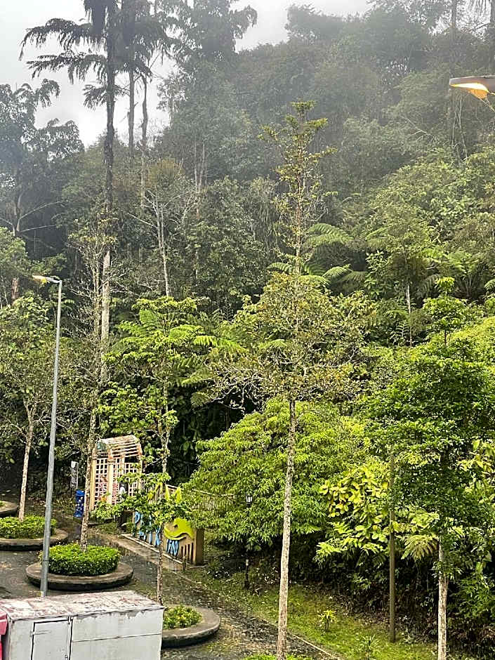 Sweet Potato Apartment