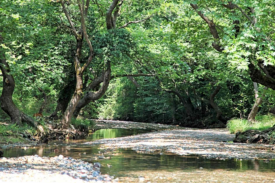 Thalatta Seaside Hotel